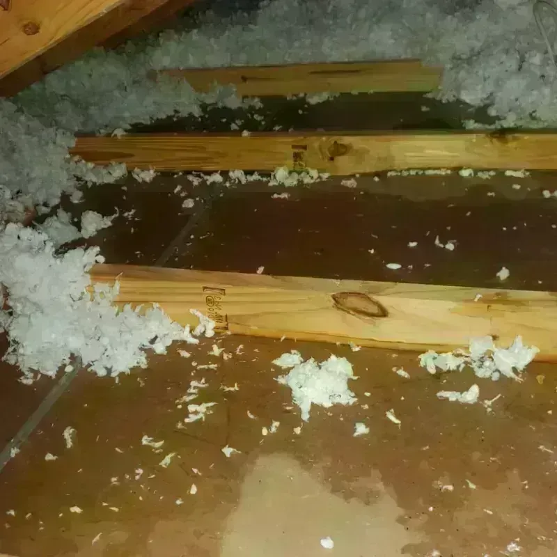 Attic Water Damage in North Amityville, NY